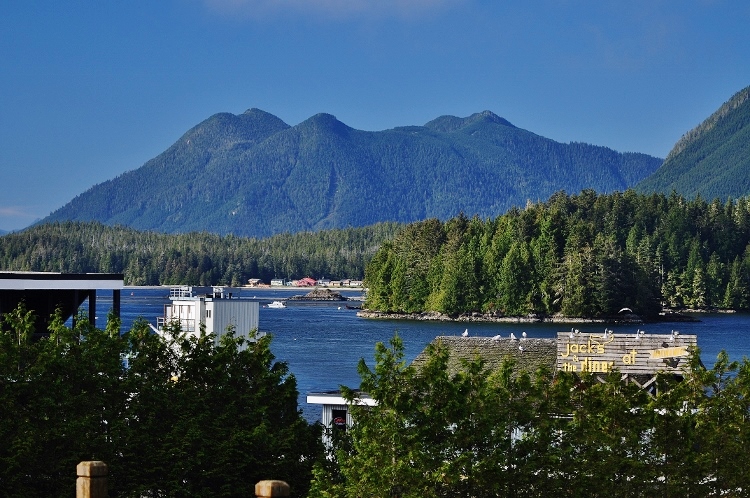 looking out over Tofino Inlet